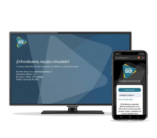 Verifica que esté en el puerto HDMI donde conectaste el deco.